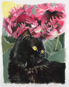 Black Tulips by Anne Robinson
