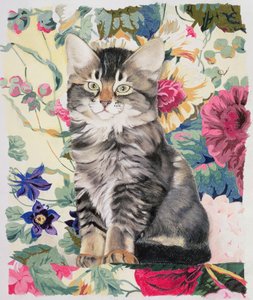 Sitting Pretty by Anne Robinson