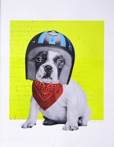 Easy Rider