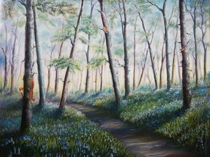 Bluebell Woodland Path