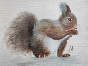 Charming Red Squirrel by Annette Armitage