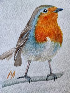 Charming Watercolor Robin