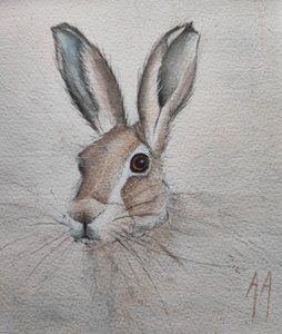 Gentle Hare Portrait