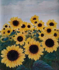 Vibrant Sunflower Field by Annette Armitage