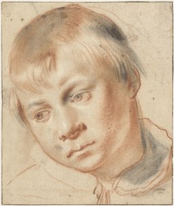 Study of a Boy’s Head