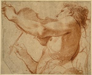 An Angel Playing the Violin by Annibale Carracci