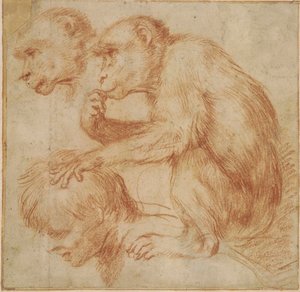 A Monkey on a Man