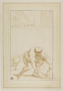 Manure Collector