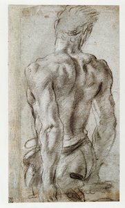 Study of a Male Figure by Annibale Carracci