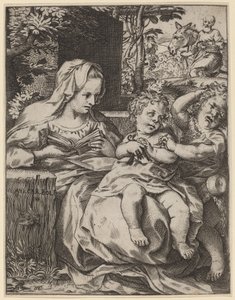 The Madonna of the Swallow by Annibale Carracci