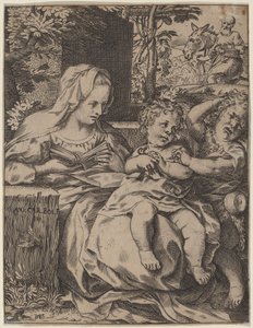 The Madonna of the Swallow by Annibale Carracci
