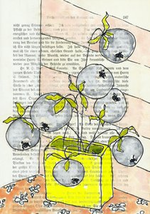 Colorful Blueberry Still Life