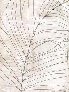 Minimalist Botanical Lines