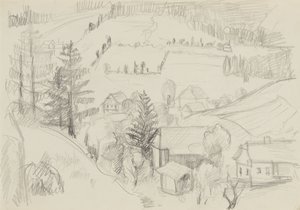 Village