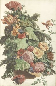 Flowers and leaves in a pot