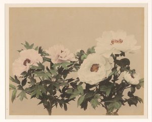 Flower Still Life with Peonies by Anonymous