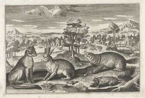 Forest Animals (series title: Quadruped Animals)
