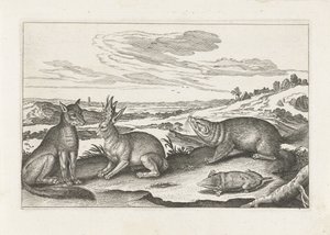 Forest Animals