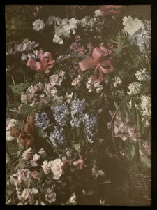 Bouquet of Flowers with Ribbon, Basket, and Card by Anonymous