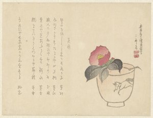 Camelia on Cup with Horse by Anonymous
