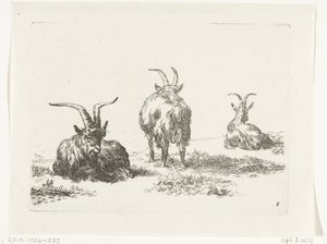 Three Goats by Anonymous