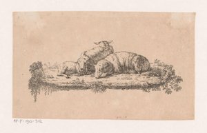 Three Lying Sheep by Anonymous