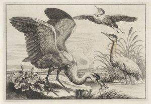 Three Herons by Anonymous