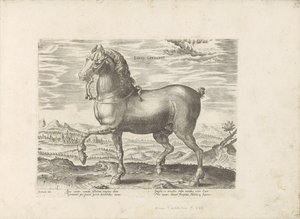 German Horse