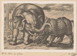 A Rhinoceros Fighting with an Elephant (Fighting Animals) by Anonymous