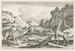 Exotic Animals
