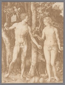 Photo Reproduction of the Engraving Adam and Eve by Albrecht Dürer