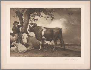 Photoreproduction of the painting The Bull by Paulus Potter, coll. Mauritshuis by Anonymous