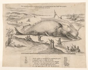 Stranded Whale Near Antwerp, 1577 by Anonymous