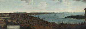 View of Constantinople and the Seraglio from the Dutch Embassy