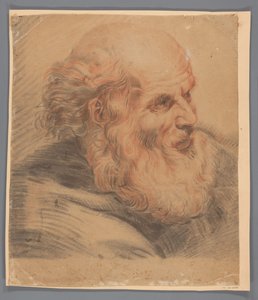 Head of a Bearded Man