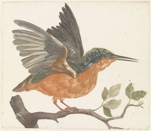 Kingfisher on a Branch