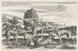 Hunting Dogs by Anonymous