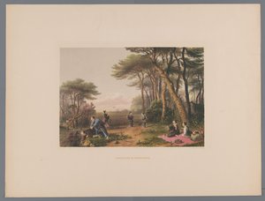Japanese Men and Women Searching for Mushrooms
