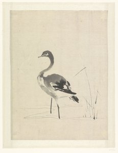 Young Crane by Anonymous