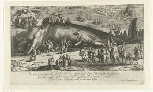 Copy of the Stranded Whale at Berckhey in 1598 as the Whale Stranded at Ancona in 1601