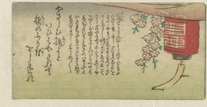 Lantern and Blossom (Fan Series with Accompanying Prints)