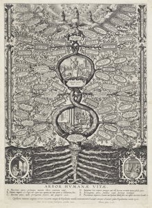 Tree of Life by Anonymous