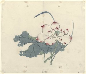Lotus by Anonymous