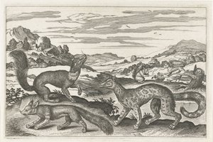 Martens, Squirrels, and a Fox (series: Four-Legged Animals, Animalivm Qvaddrvpedvm) by Anonymous