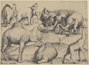 Elephants, Dromedaries, and a Giraffe by Anonymous