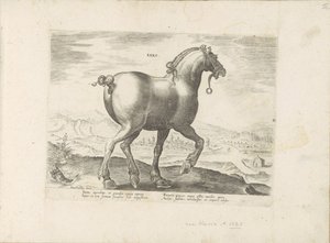 Horse from Saxony (Saxo) (Horse Breeds from the Royal Stables of Don Juan of Austria)