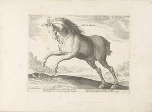 Horse of the Equus Regius Breed (The Royal)