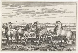 Horses (series title) Animalivm Qvaddrvpedvm (series title)