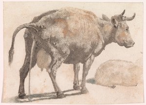 Pissing cow