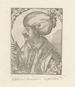 Portrait of Suleiman I the Magnificent
